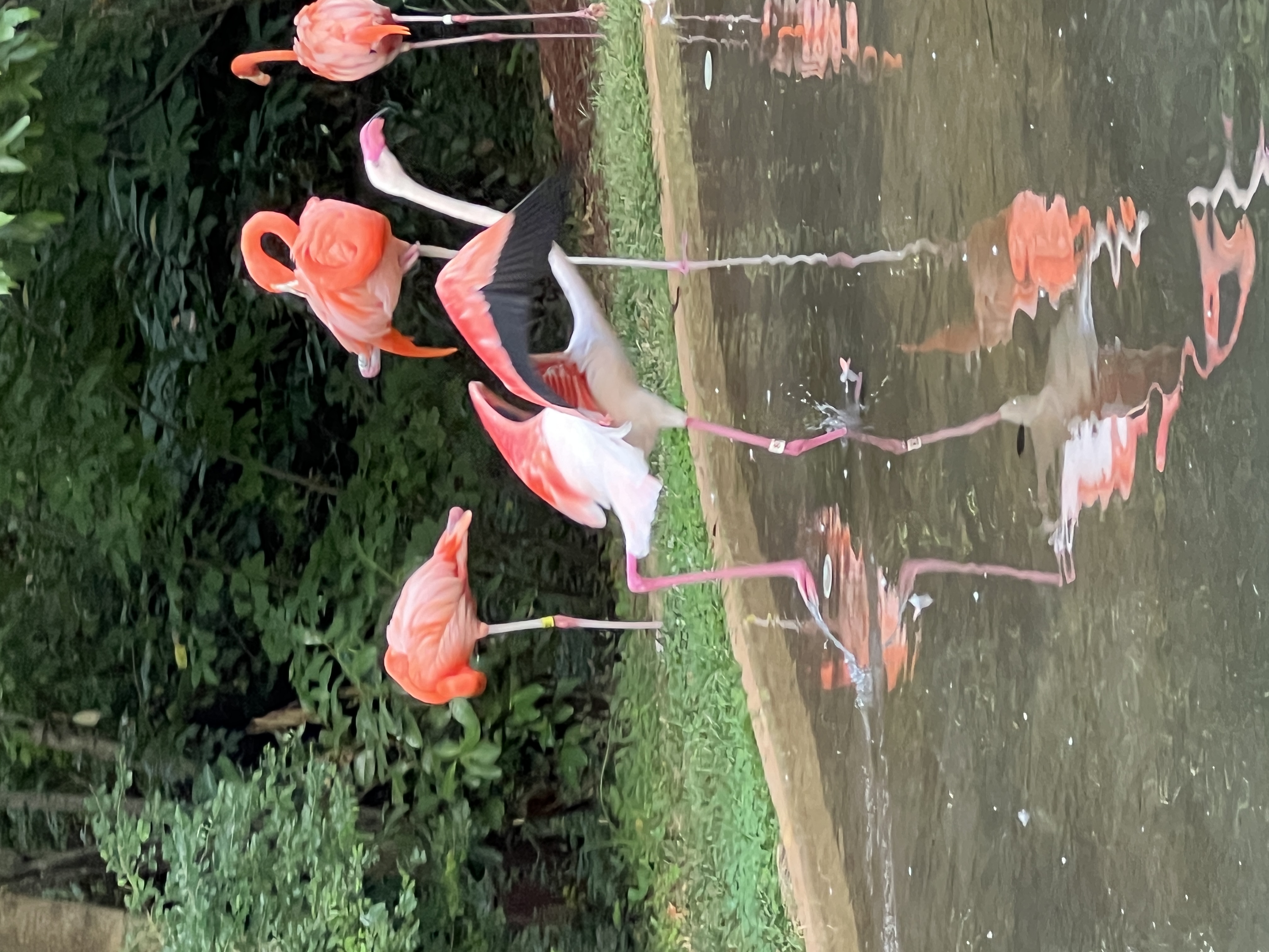 ./2025/11 - Nashville Trip/IMG_7253.JPG